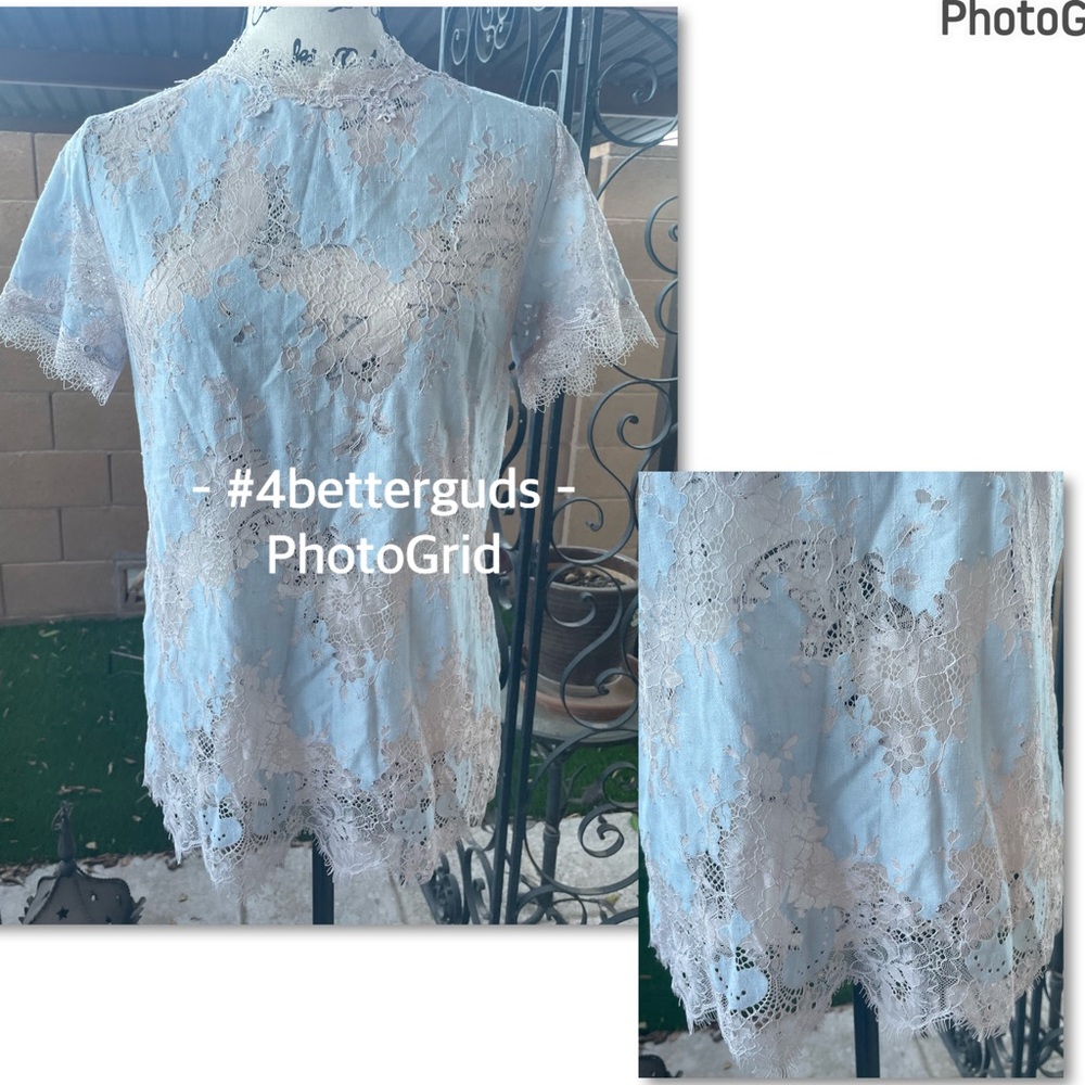 Gracia Lace Sheer Short Sleeve Feminine Light Blue & Pink Blouse Top Small
